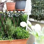 Santi's Апартаменты *