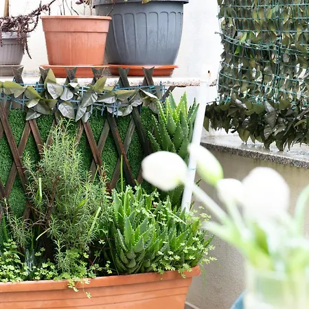 Santi's 아파트 *